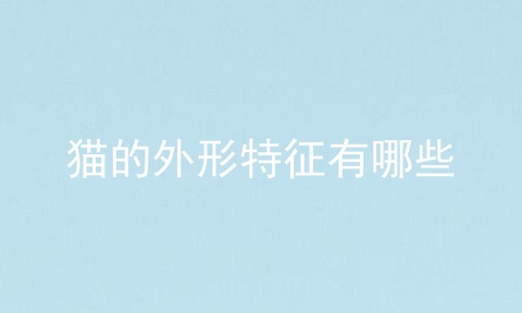 猫的外形特征有哪些