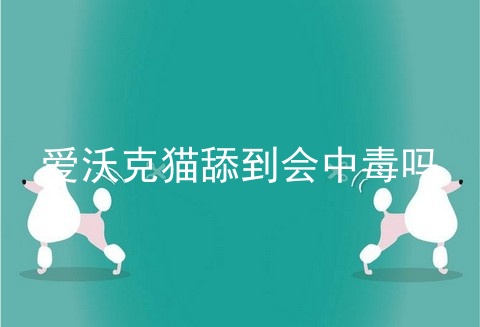 爱沃克猫舔到会中毒吗
