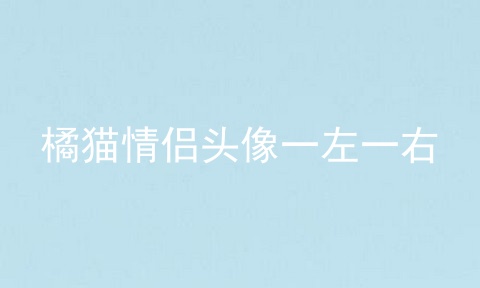 橘猫情侣头像一左一右