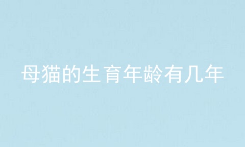 母猫的生育年龄有几年