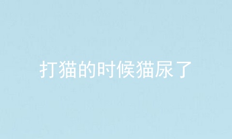 打猫的时候猫尿了