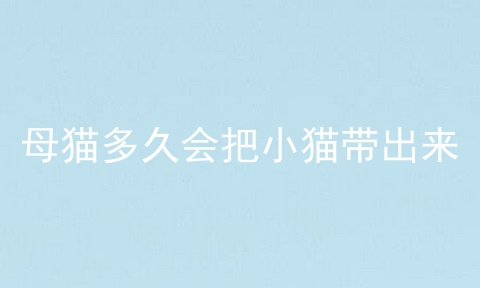 母猫多久会把小猫带出来