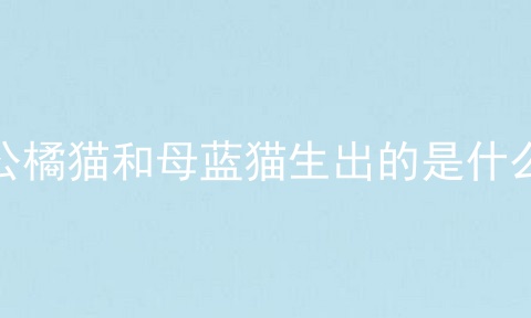 公橘猫和母蓝猫生出的是什么