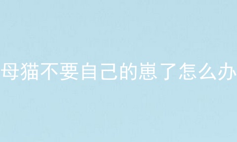 母猫不要自己的崽了怎么办