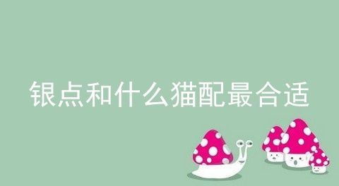 银点和什么猫配最合适