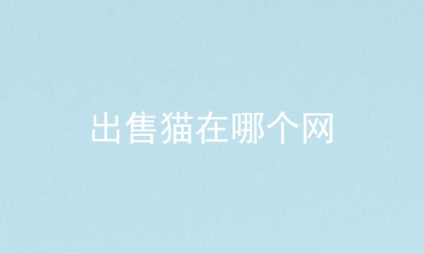 出售猫在哪个网
