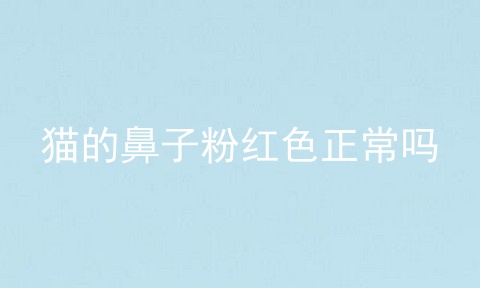 猫的鼻子粉红色正常吗