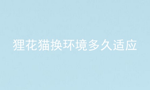 狸花猫换环境多久适应
