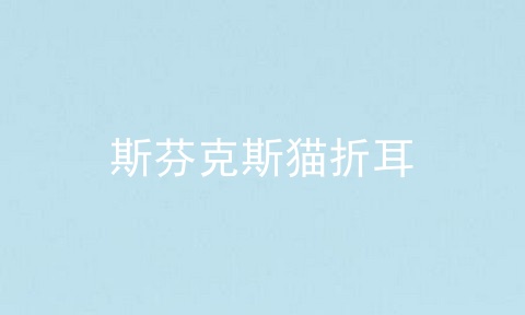 斯芬克斯猫折耳