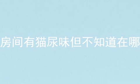 房间有猫尿味但不知道在哪