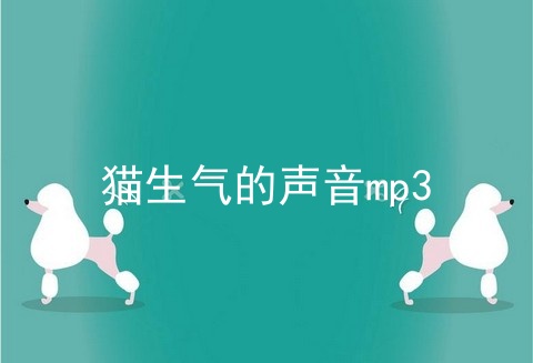 猫生气的声音mp3