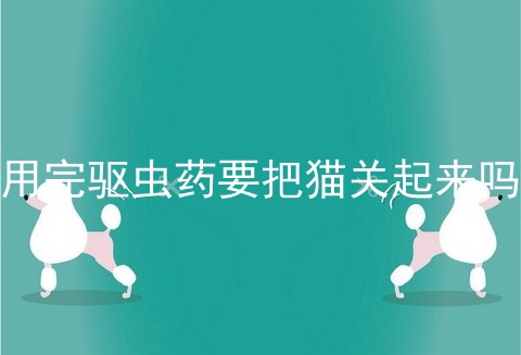 用完驱虫药要把猫关起来吗