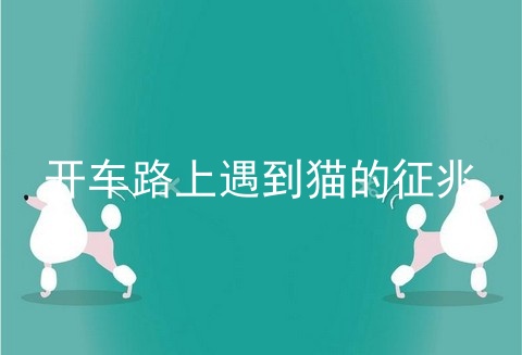 开车路上遇到猫的征兆