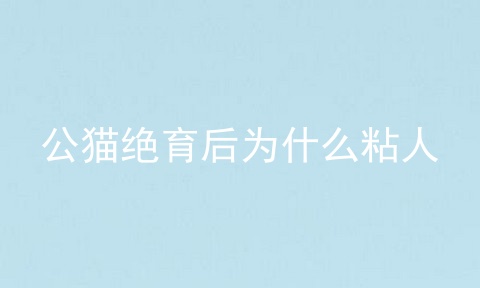 公猫绝育后为什么粘人