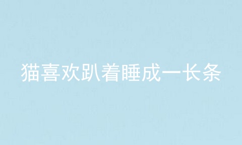 猫喜欢趴着睡成一长条
