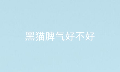 黑猫脾气好不好