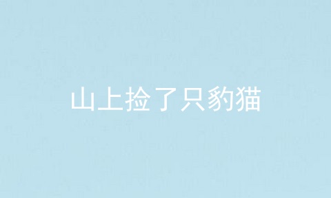 山上捡了只豹猫