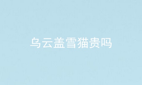 乌云盖雪猫贵吗