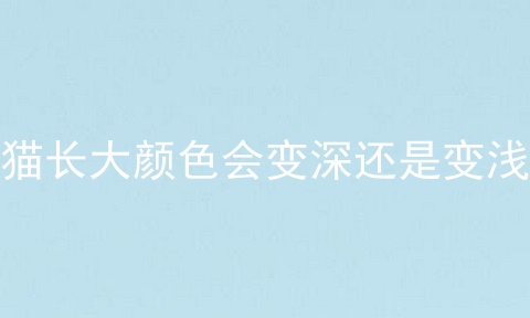 猫长大颜色会变深还是变浅