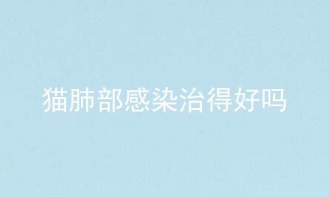 猫肺部感染治得好吗