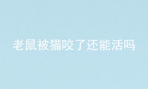 老鼠被猫咬了还能活吗