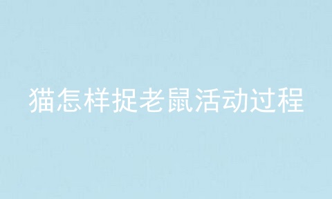 猫怎样捉老鼠活动过程