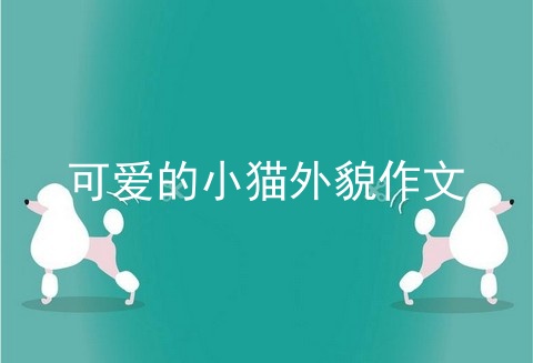 可爱的小猫外貌作文