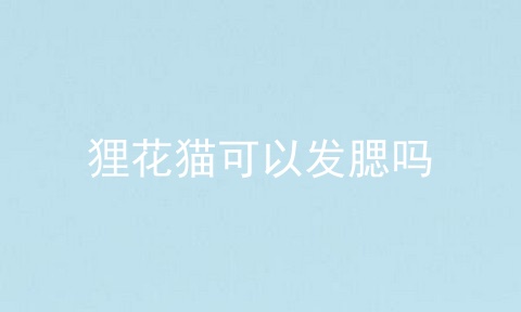 狸花猫可以发腮吗