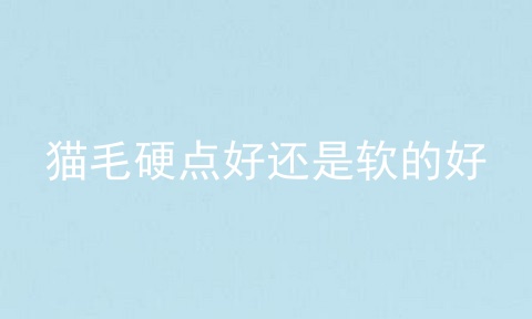 猫毛硬点好还是软的好