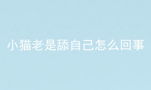 小猫老是舔自己怎么回事