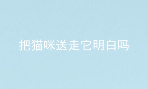把猫咪送走它明白吗