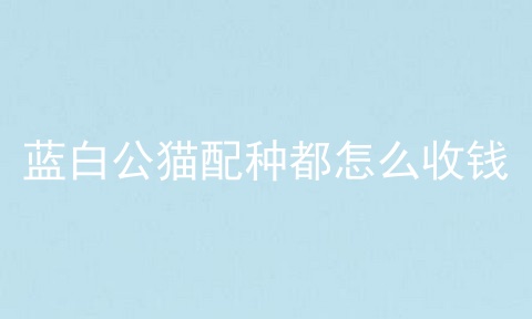 蓝白公猫配种都怎么收钱