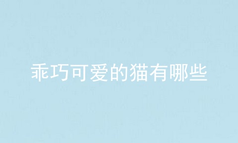 乖巧可爱的猫有哪些