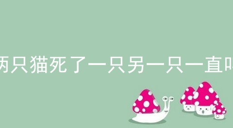 两只猫死了一只另一只一直叫