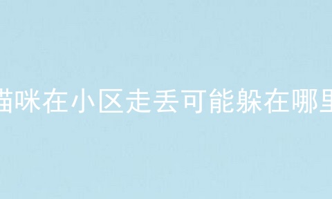 猫咪在小区走丢可能躲在哪里