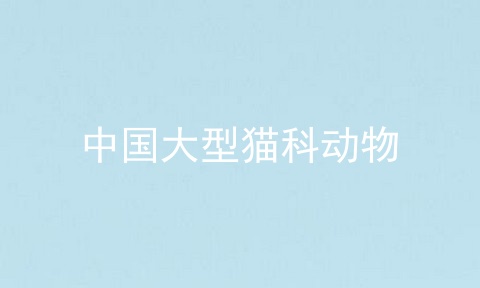 中国大型猫科动物