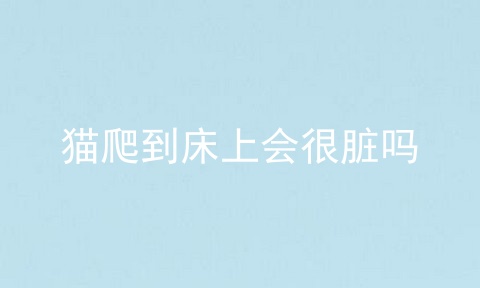 猫爬到床上会很脏吗