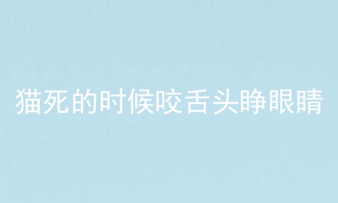 猫死的时候咬舌头睁眼睛