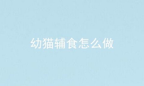 幼猫辅食怎么做