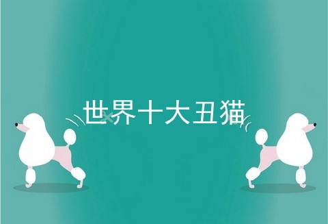世界十大丑猫