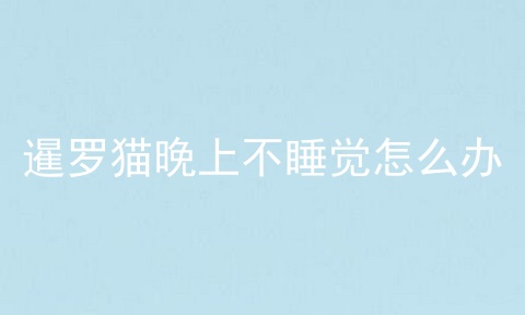 暹罗猫晚上不睡觉怎么办