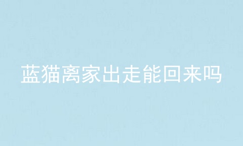 蓝猫离家出走能回来吗