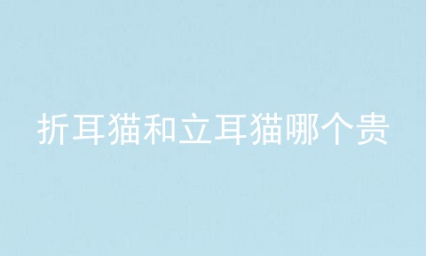 折耳猫和立耳猫哪个贵