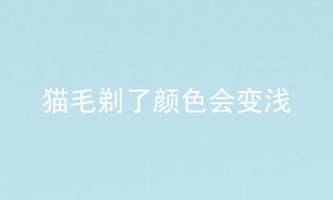 猫毛剃了颜色会变浅