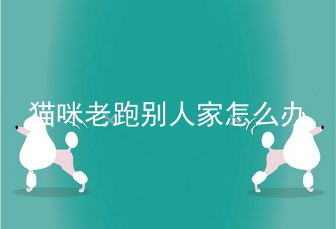 猫咪老跑别人家怎么办