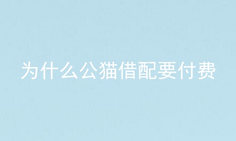 为什么公猫借配要付费