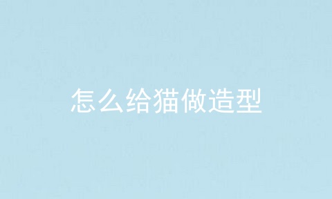 怎么给猫做造型
