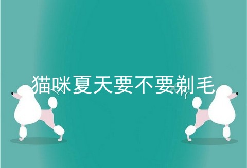 猫咪夏天要不要剃毛