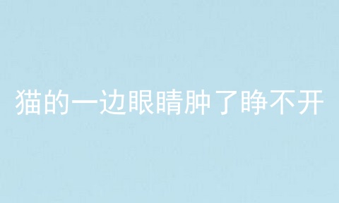 猫的一边眼睛肿了睁不开