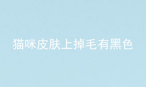 猫咪皮肤上掉毛有黑色